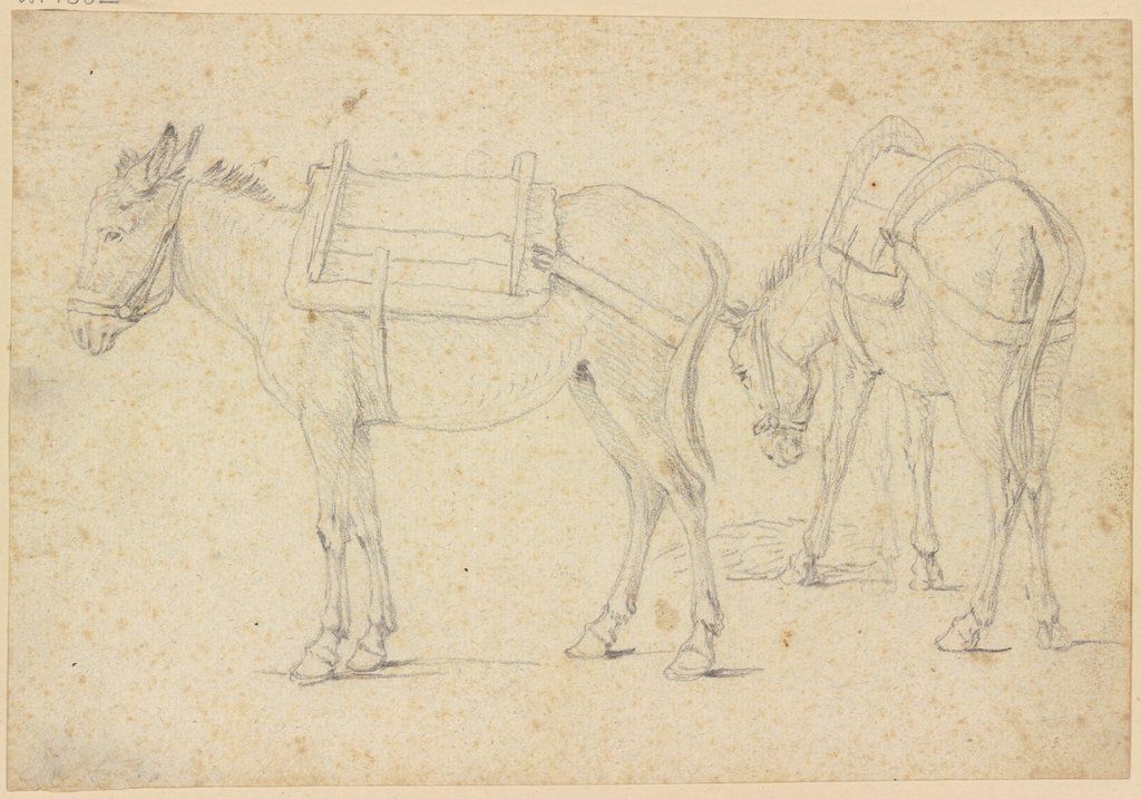 Zwei aufgezäumte Esel, Georg Philipp Rugendas d. Ä.
