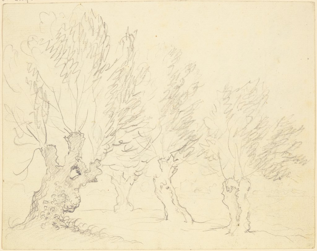 Four willow trees, Friedrich Wilhelm Hirt