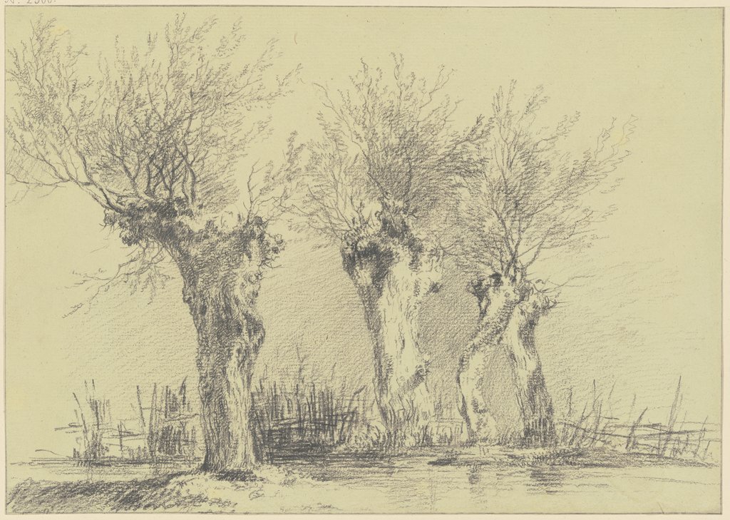 Four willows, Friedrich Wilhelm Hirt