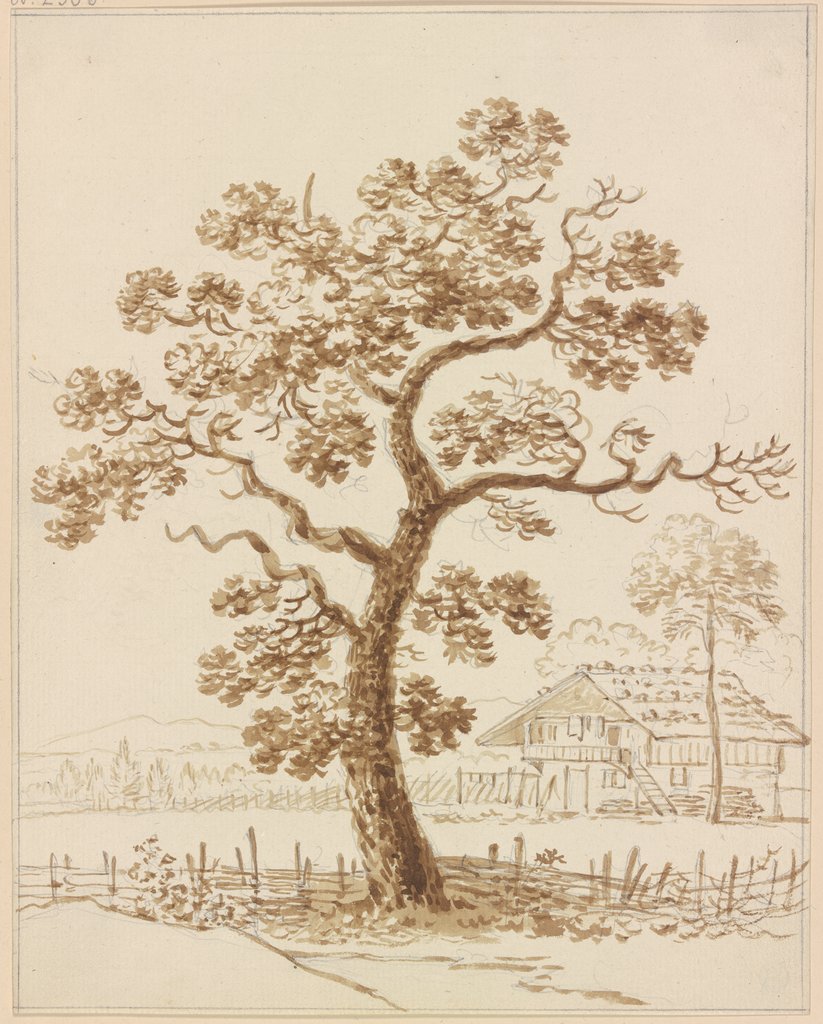 Leaf tree, Friedrich Wilhelm Hirt