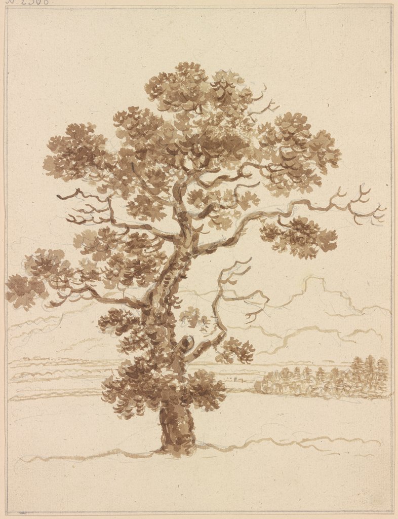 Leaf tree, Friedrich Wilhelm Hirt