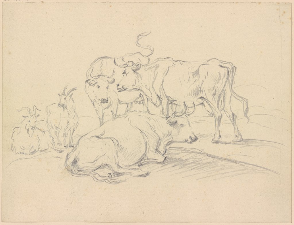 Cows and goats, Friedrich Wilhelm Hirt