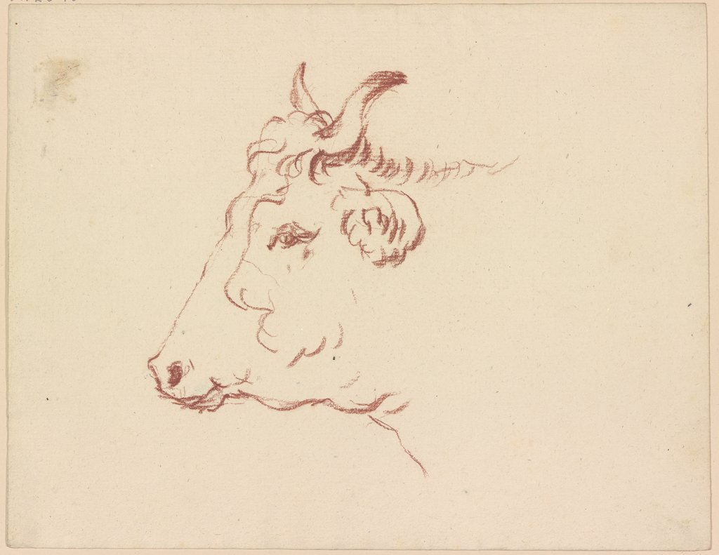 Ox head to the left, Friedrich Wilhelm Hirt
