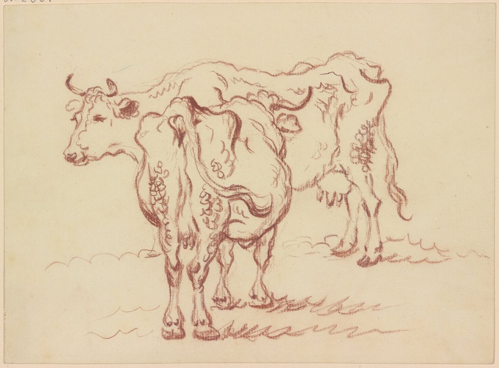 Zwei stehende Kühe, Friedrich Wilhelm Hirt