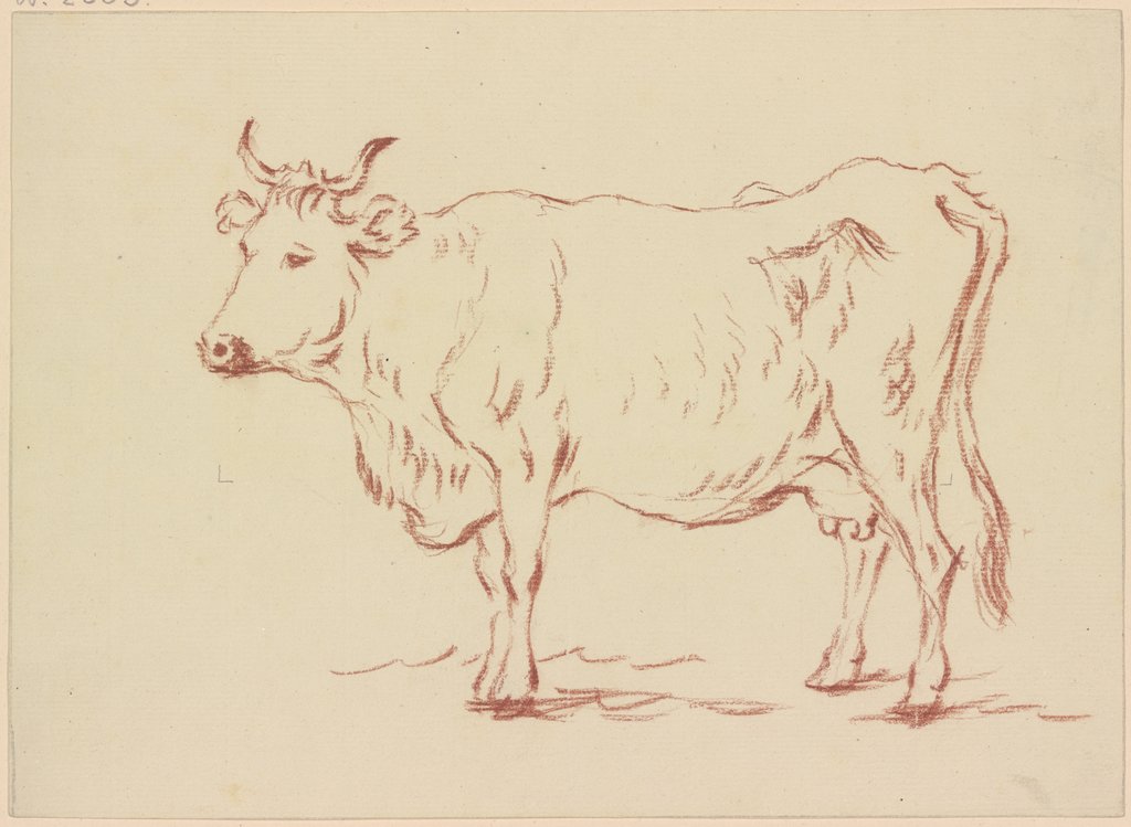 Standing cow to the left, Friedrich Wilhelm Hirt