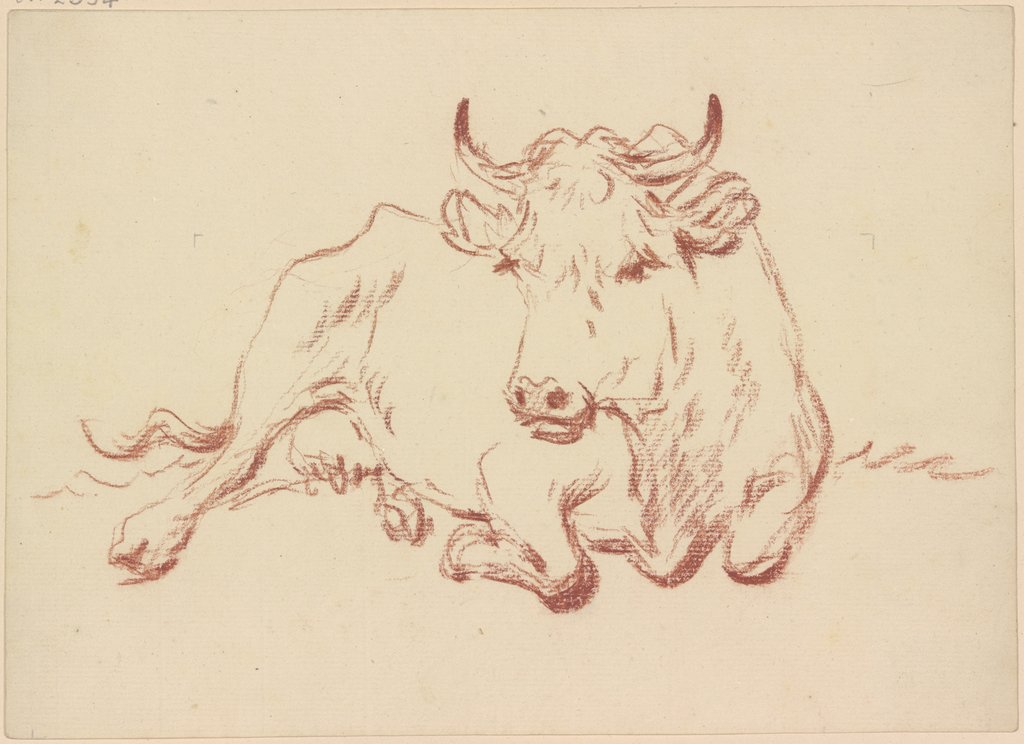 Lying cow en face, Friedrich Wilhelm Hirt
