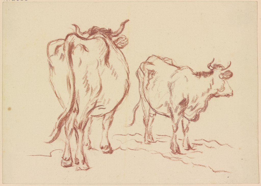 Zwei stehende Kühe mit abgewandtem Kopf, Friedrich Wilhelm Hirt