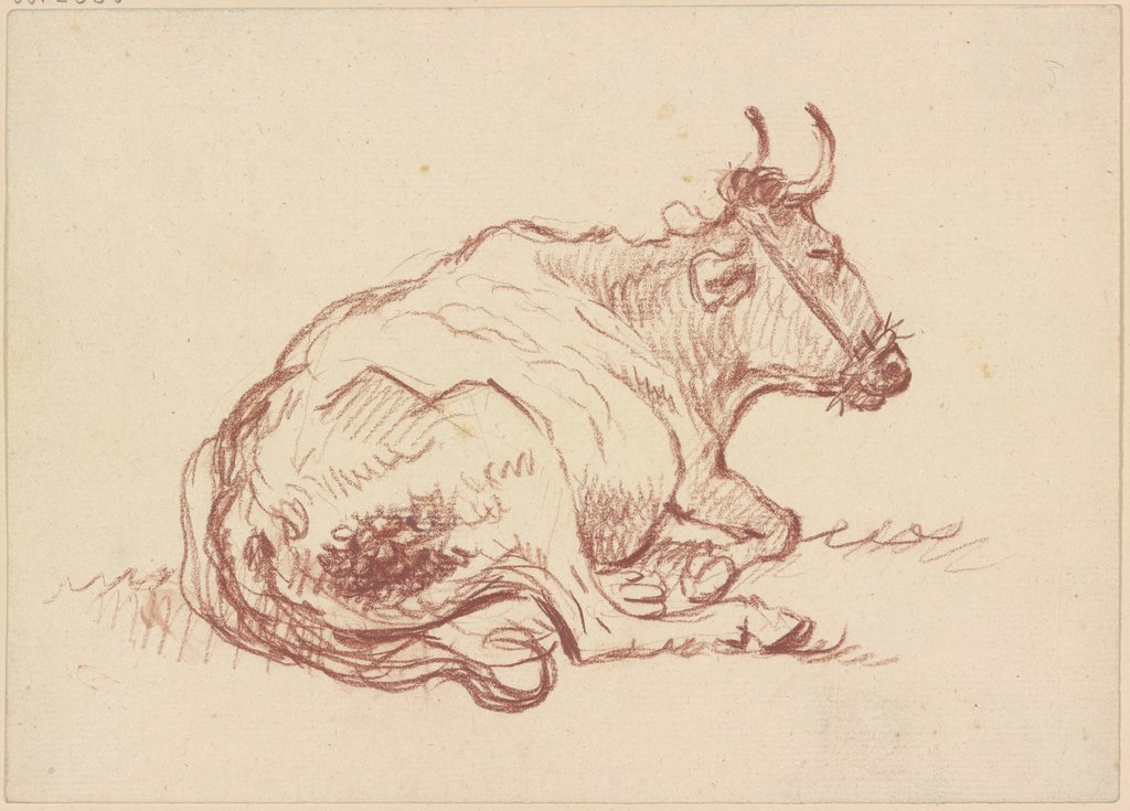 Lying cow to the right, Friedrich Wilhelm Hirt