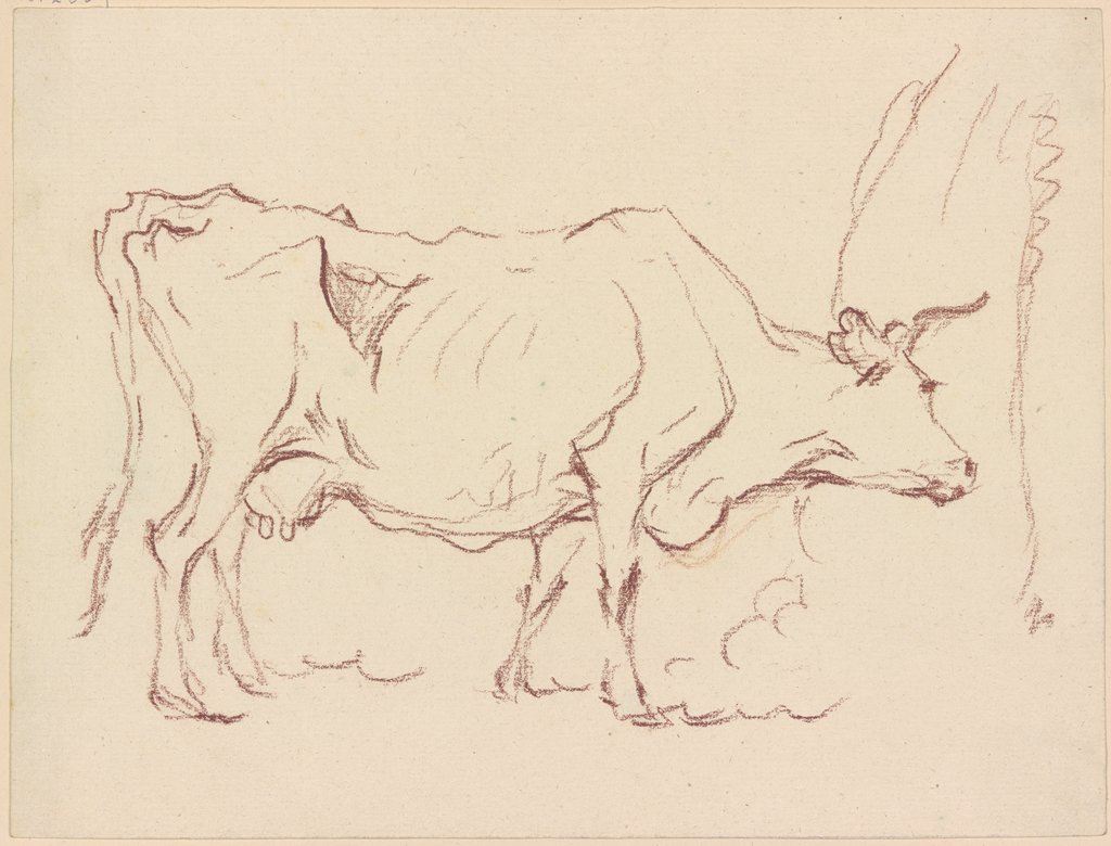 Magere stehende Kuh nach rechts, sich an einem Baumstamm schubbernd, Friedrich Wilhelm Hirt