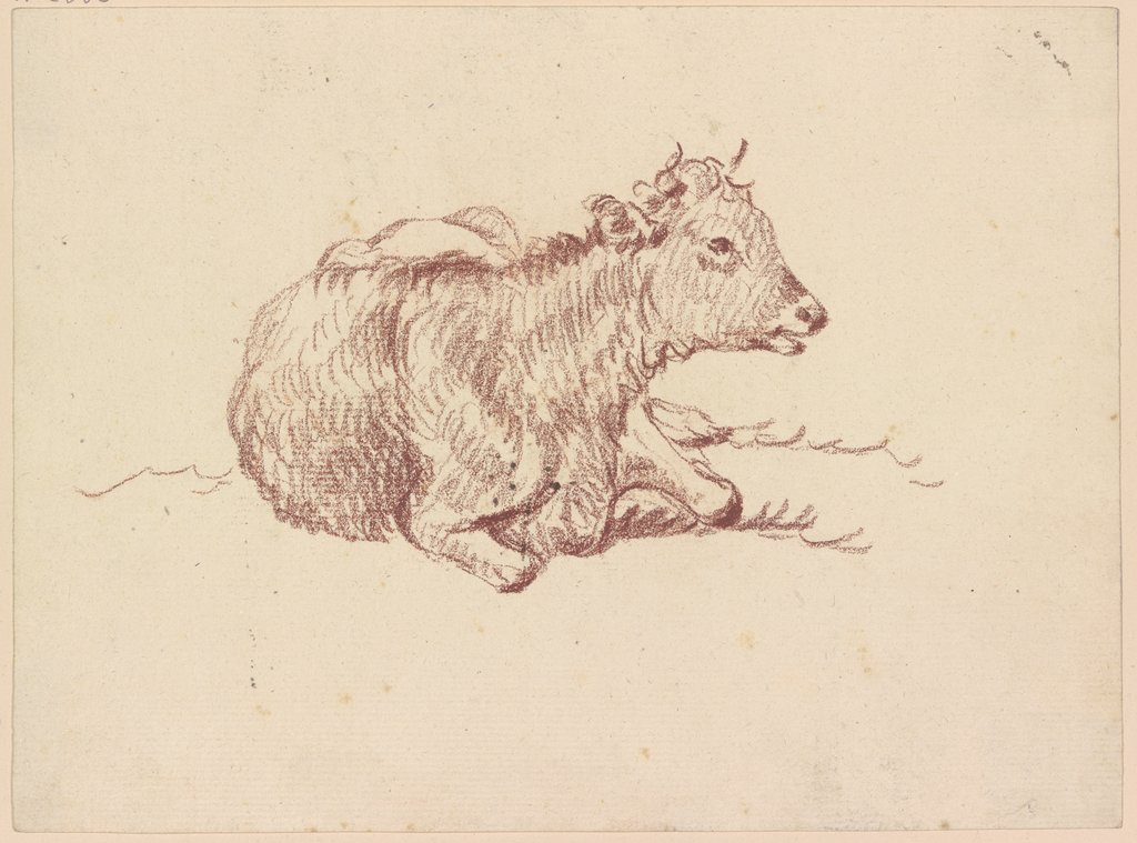 Liegendes Kalb, Friedrich Wilhelm Hirt