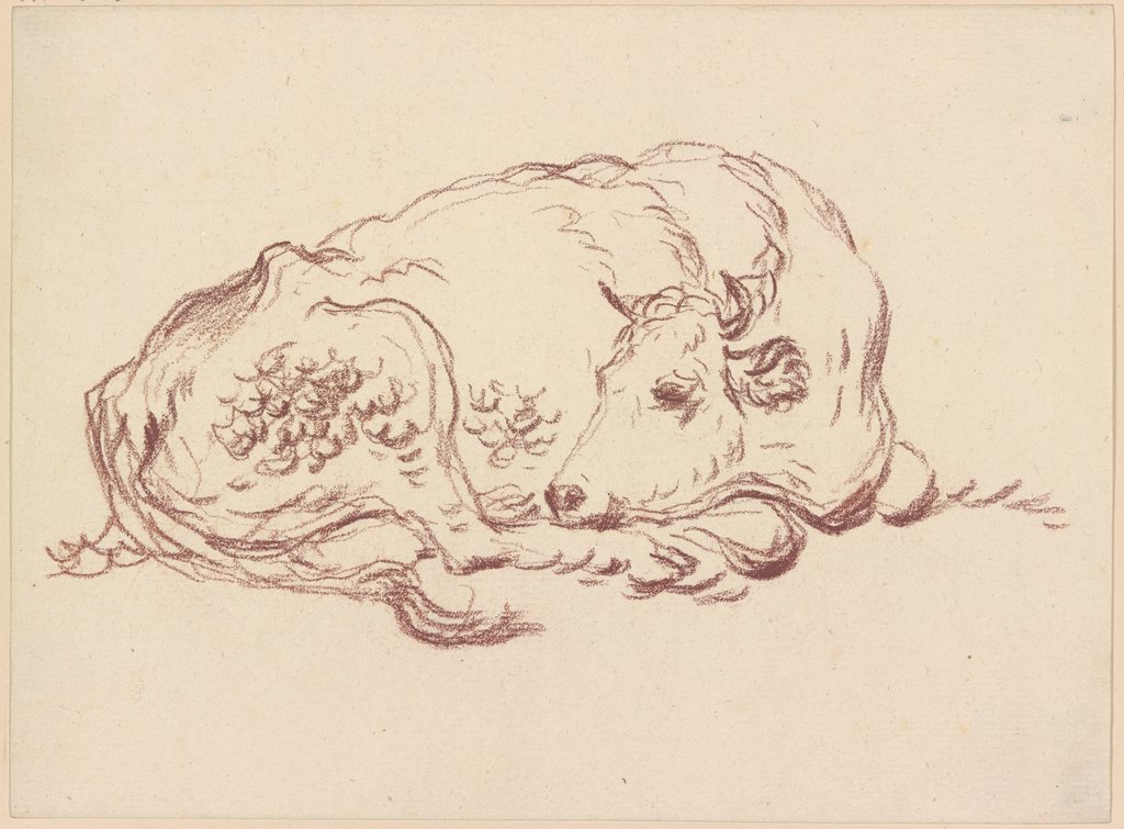 Sleeping cow, Friedrich Wilhelm Hirt