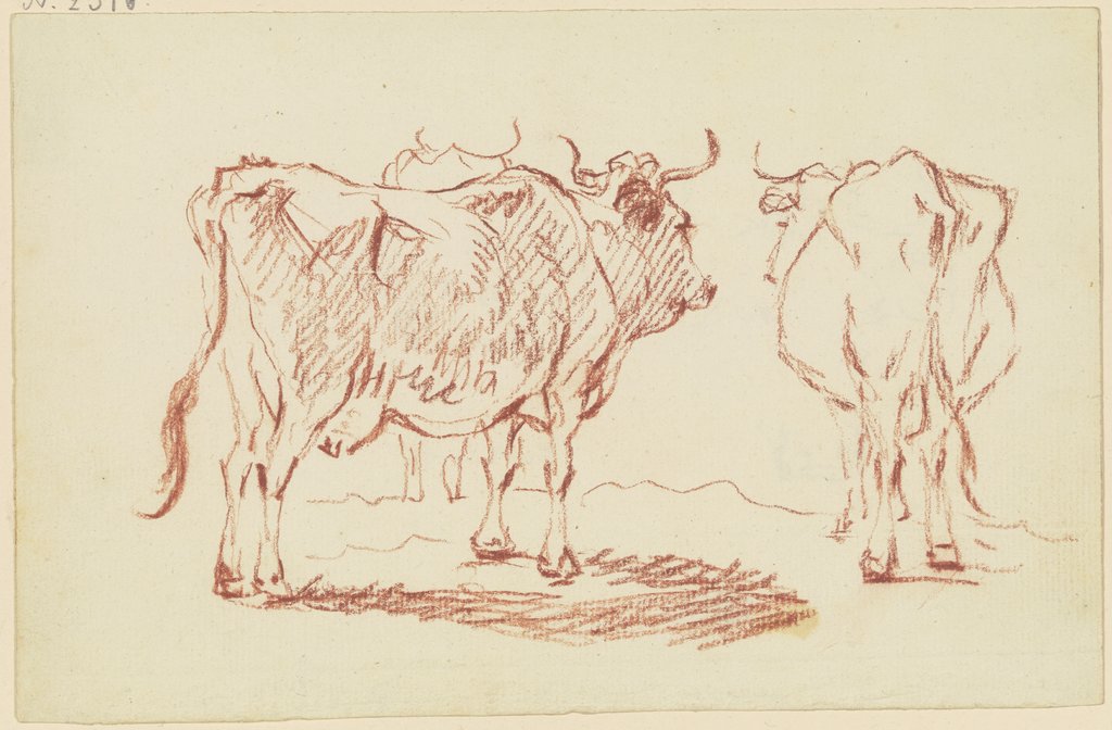Stehende Kühe von hinten gesehen, Friedrich Wilhelm Hirt