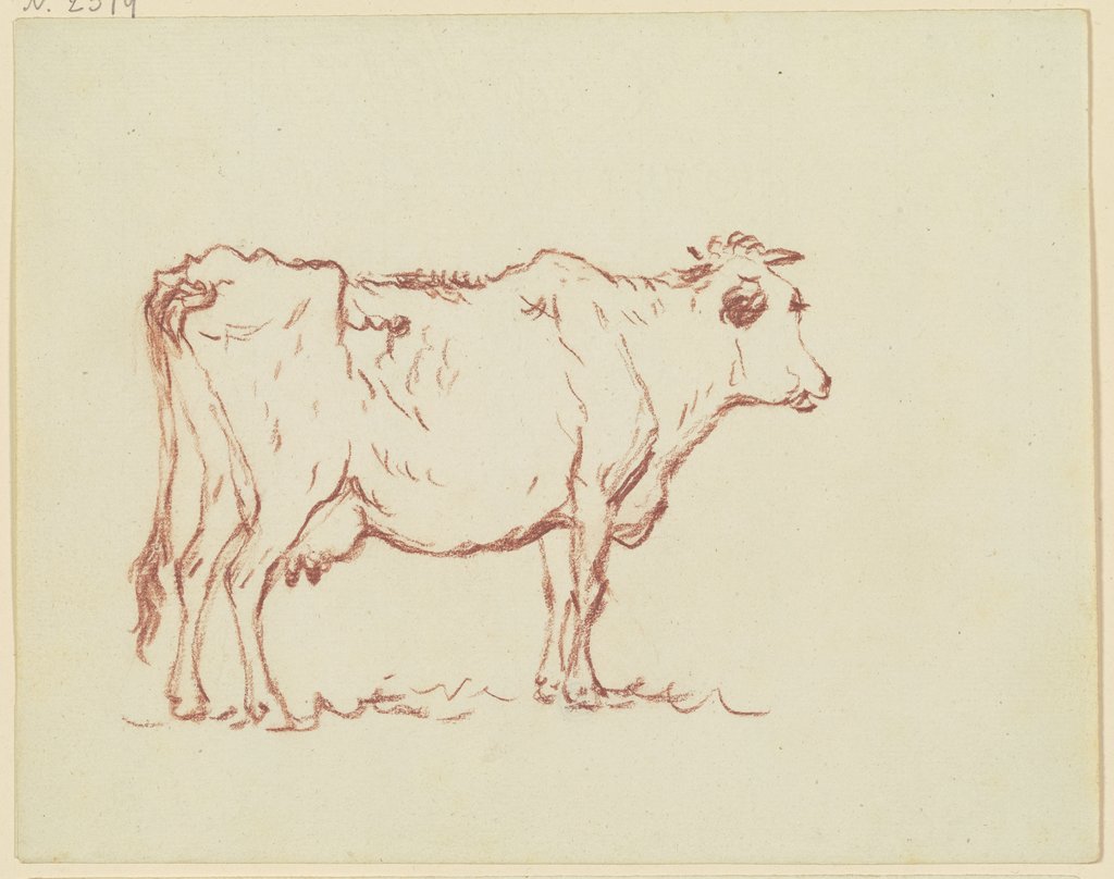 Standing cow to the right, Friedrich Wilhelm Hirt