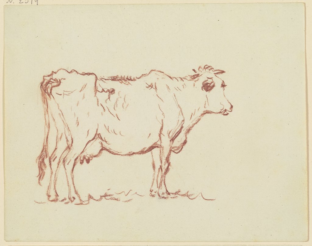 Stehende Kuh nach rechts, Friedrich Wilhelm Hirt