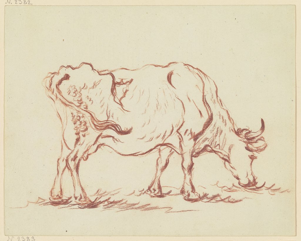Grazing cow to the right, Friedrich Wilhelm Hirt