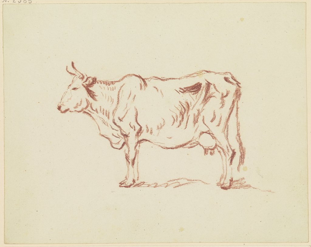 Stehende Kuh nach links, Friedrich Wilhelm Hirt