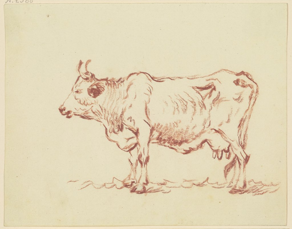 Standing cow to the left, Friedrich Wilhelm Hirt