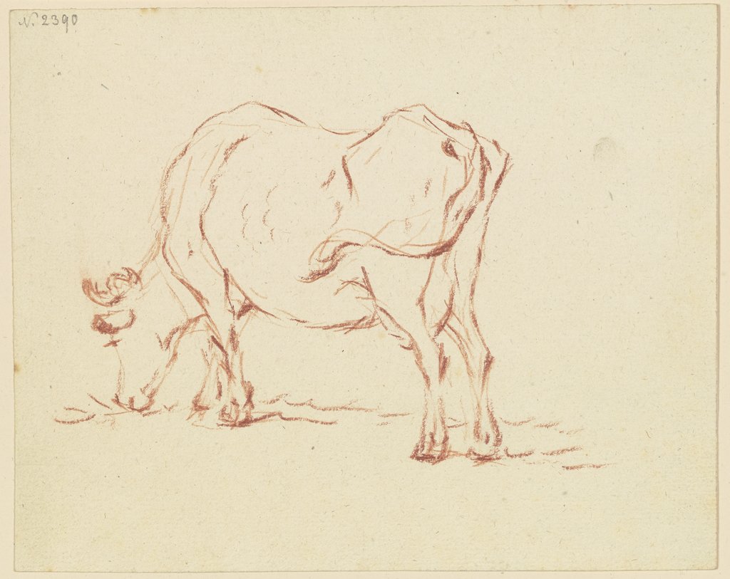 Grasende Kuh nach links, Friedrich Wilhelm Hirt