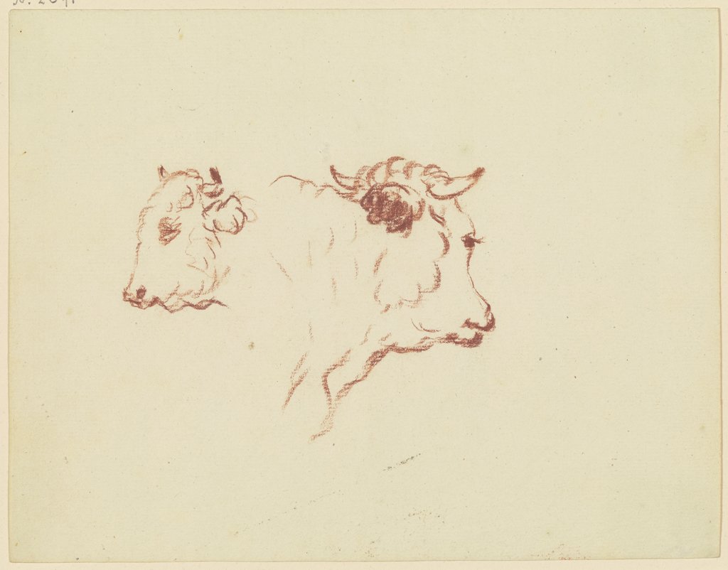 Two cattle heads, Friedrich Wilhelm Hirt