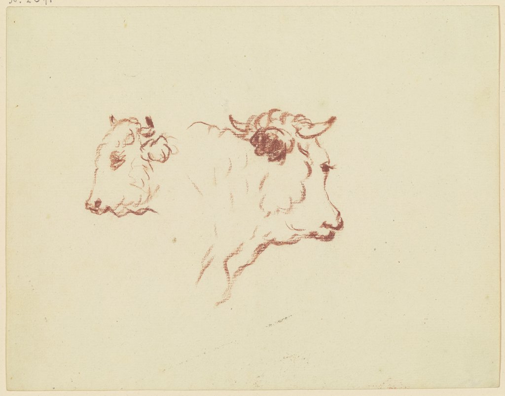 Zwei Rinderköpfe, Friedrich Wilhelm Hirt