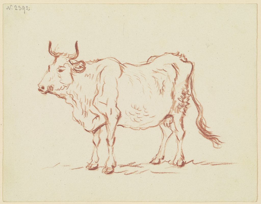Stehende Kuh nach links, Friedrich Wilhelm Hirt