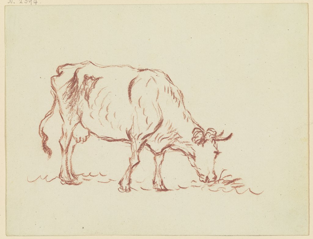 Grasende Kuh nach links, Friedrich Wilhelm Hirt