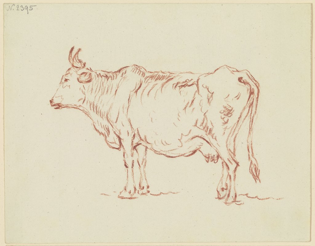 Stehende Kuh nach links, mit leicht gehobenem rechten Hinterlauf, Friedrich Wilhelm Hirt