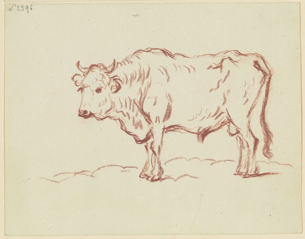 Standing ox to the left, Friedrich Wilhelm Hirt
