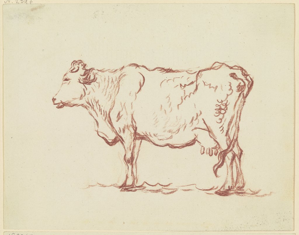 Standing cow to the left, Friedrich Wilhelm Hirt