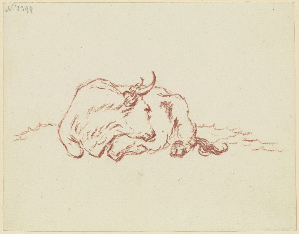 Liegendes Rind nach links, den Kopf nach rechts gewandt, Friedrich Wilhelm Hirt