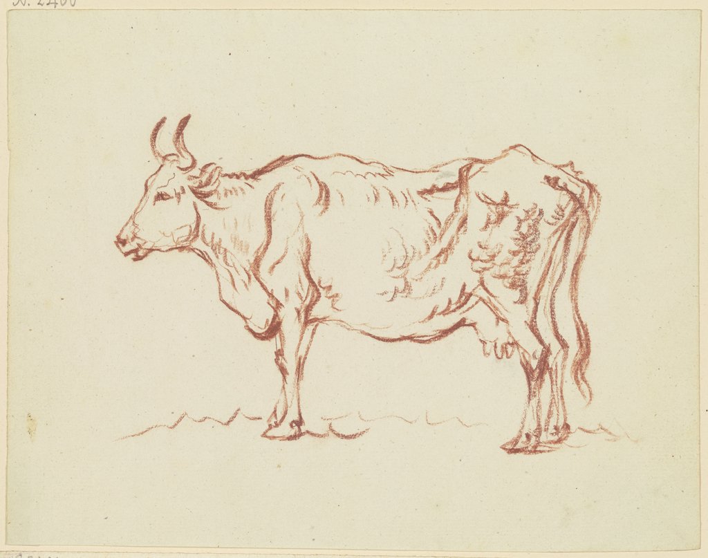 Stehende Kuh nach links, Friedrich Wilhelm Hirt