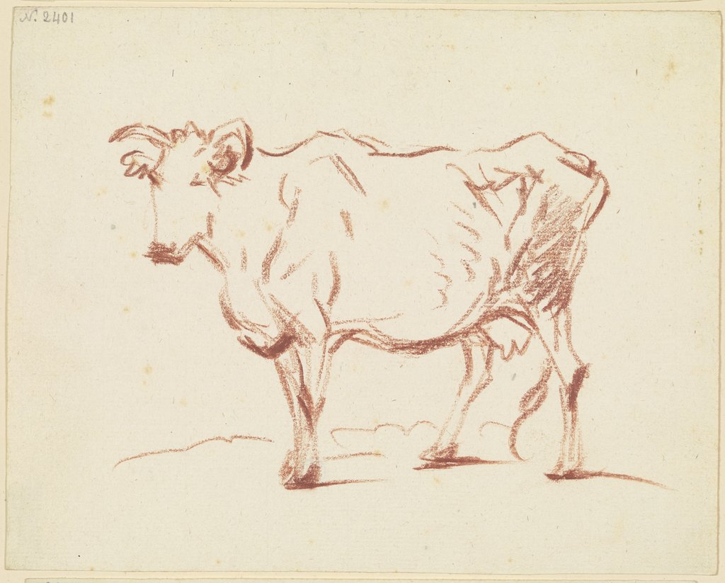 Stehende Kuh nach links, Friedrich Wilhelm Hirt