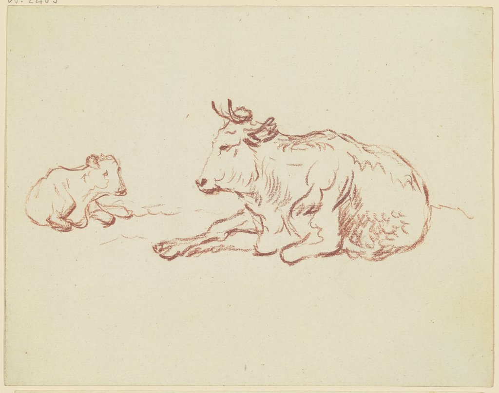 Liegende Kuh nach links mit liegendem Kalb, Friedrich Wilhelm Hirt