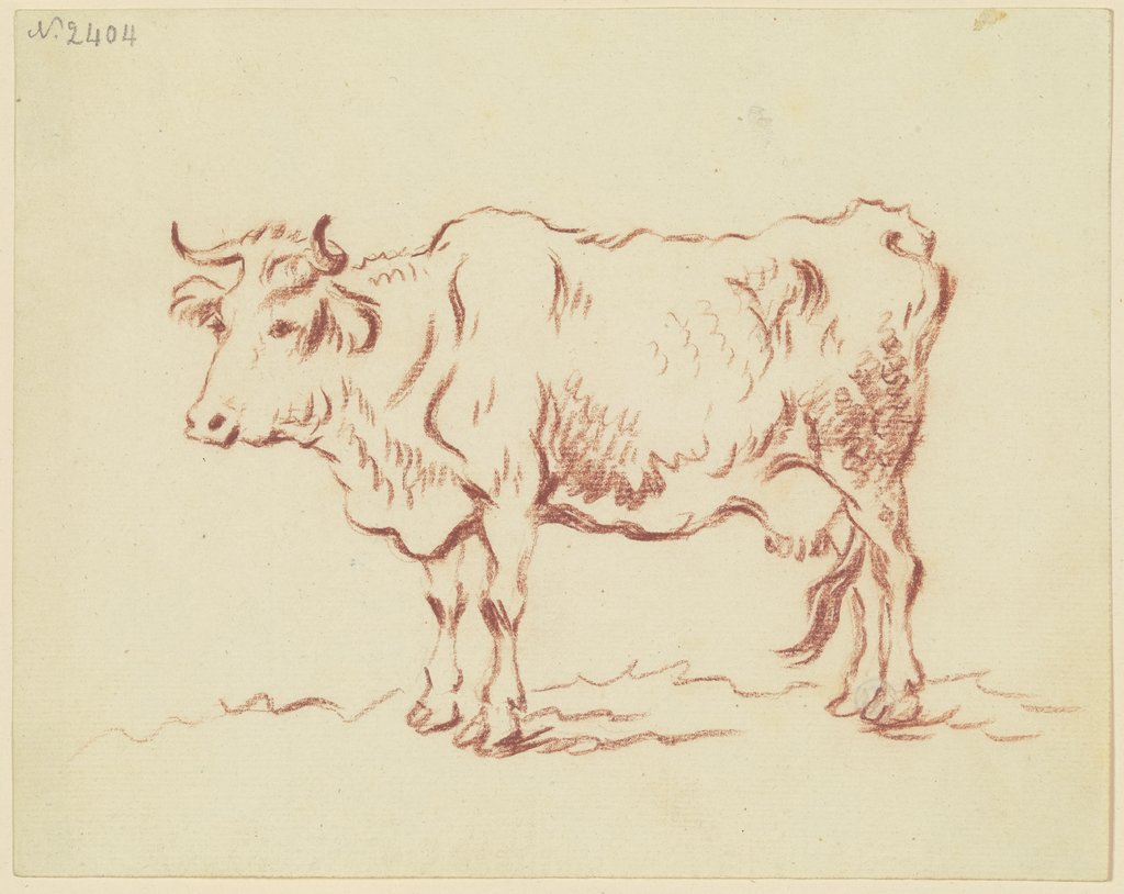 Stehende Kuh nach links, Friedrich Wilhelm Hirt