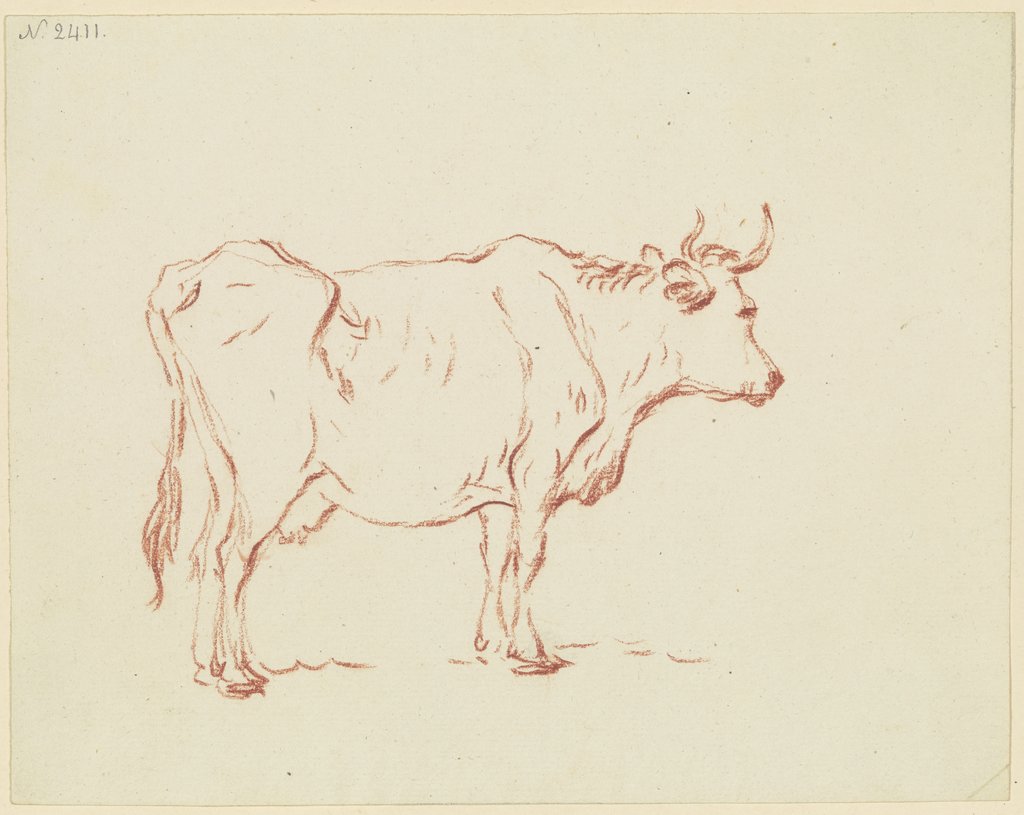 Standing cow to the right, Friedrich Wilhelm Hirt