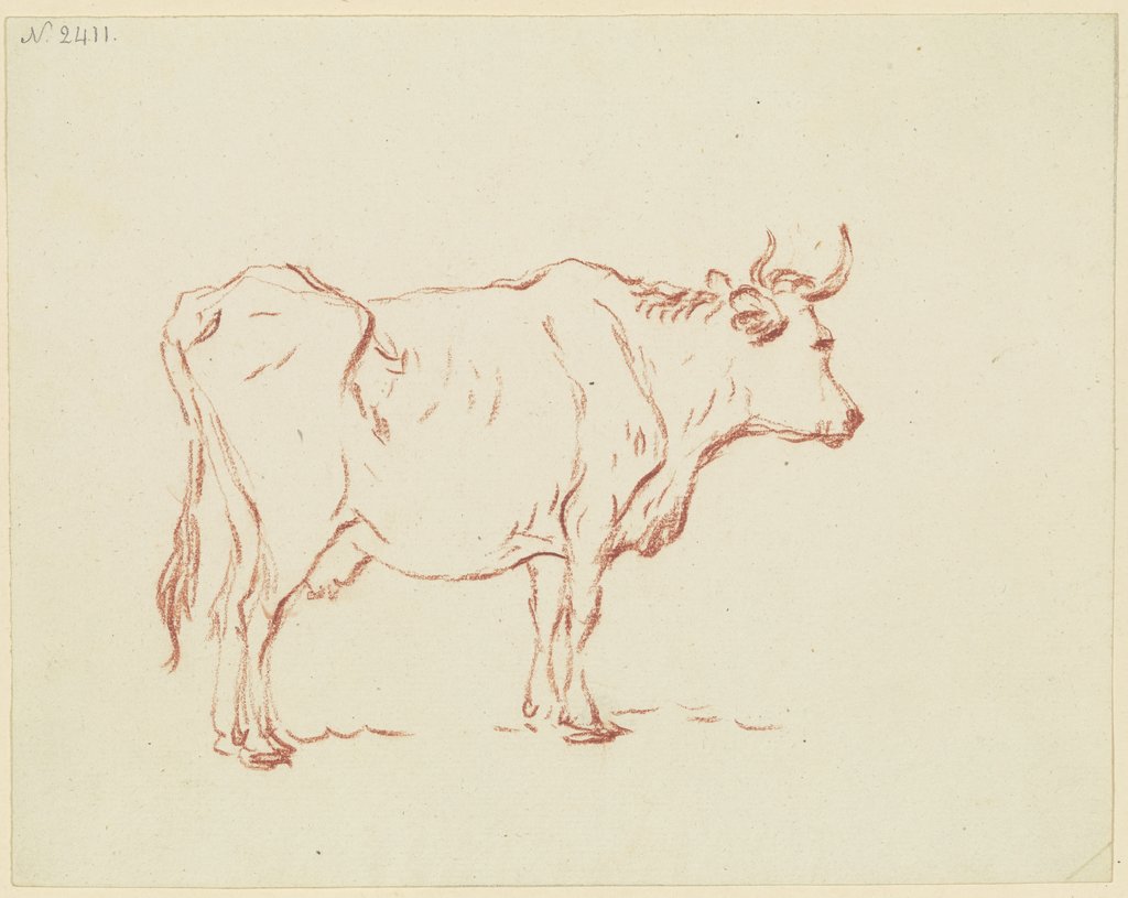 Stehende Kuh nach rechts, Friedrich Wilhelm Hirt