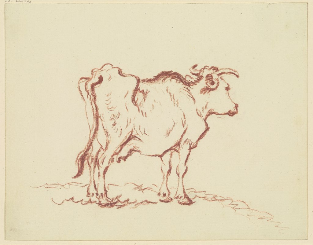 Magere Kuh nach rechts, in Verkürzung rückansichtig, Friedrich Wilhelm Hirt