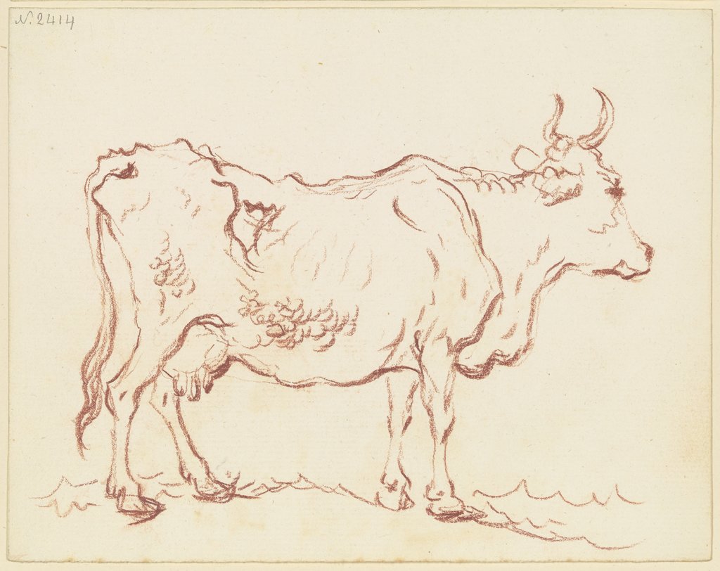 Stehende Kuh nach rechts, Friedrich Wilhelm Hirt
