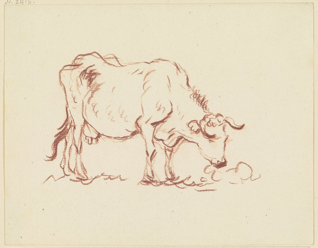 Fressende Kuh nach rechts, in leichter Verkürzung von vorn gesehen, Friedrich Wilhelm Hirt