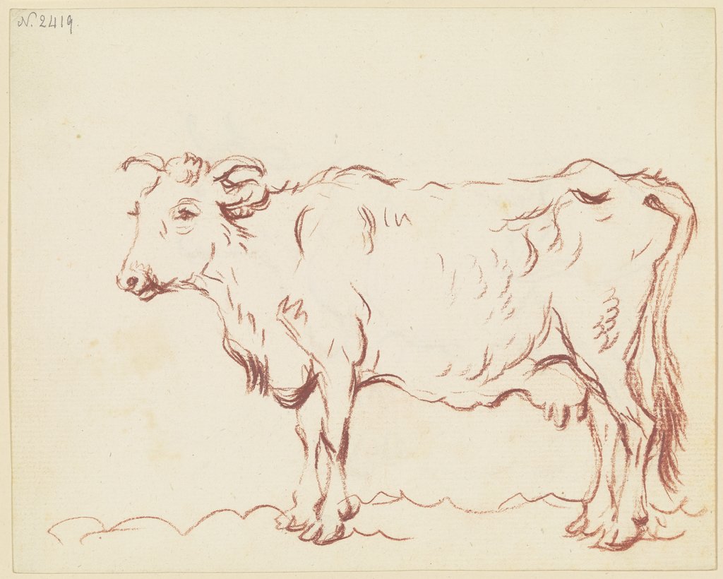 Magere stehende Kuh nach links, Friedrich Wilhelm Hirt
