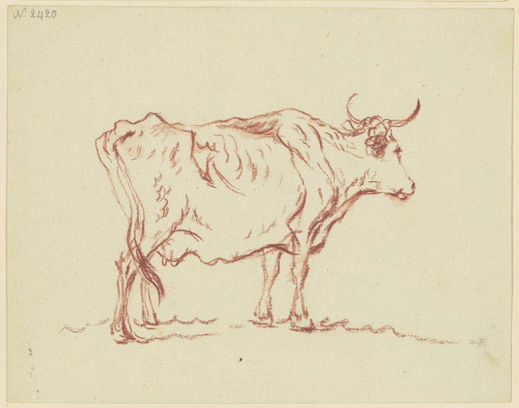 Stehende Kuh nach rechts, in leichter Verkürzung rückansichtig, Friedrich Wilhelm Hirt