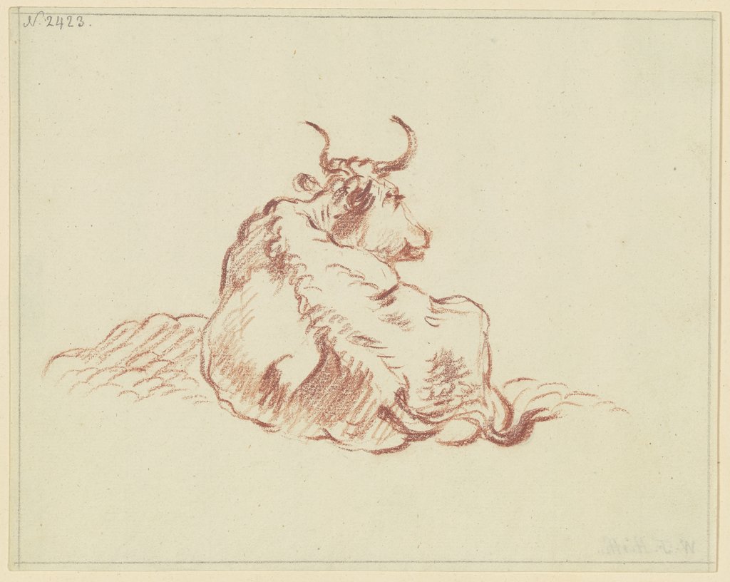 Liegendes Rind, in starker Verkürzung rückansichtig, den Kopf nach rechts gewandt, Friedrich Wilhelm Hirt