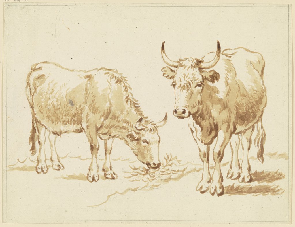 Zwei Rinder, das linke fressend, Friedrich Wilhelm Hirt