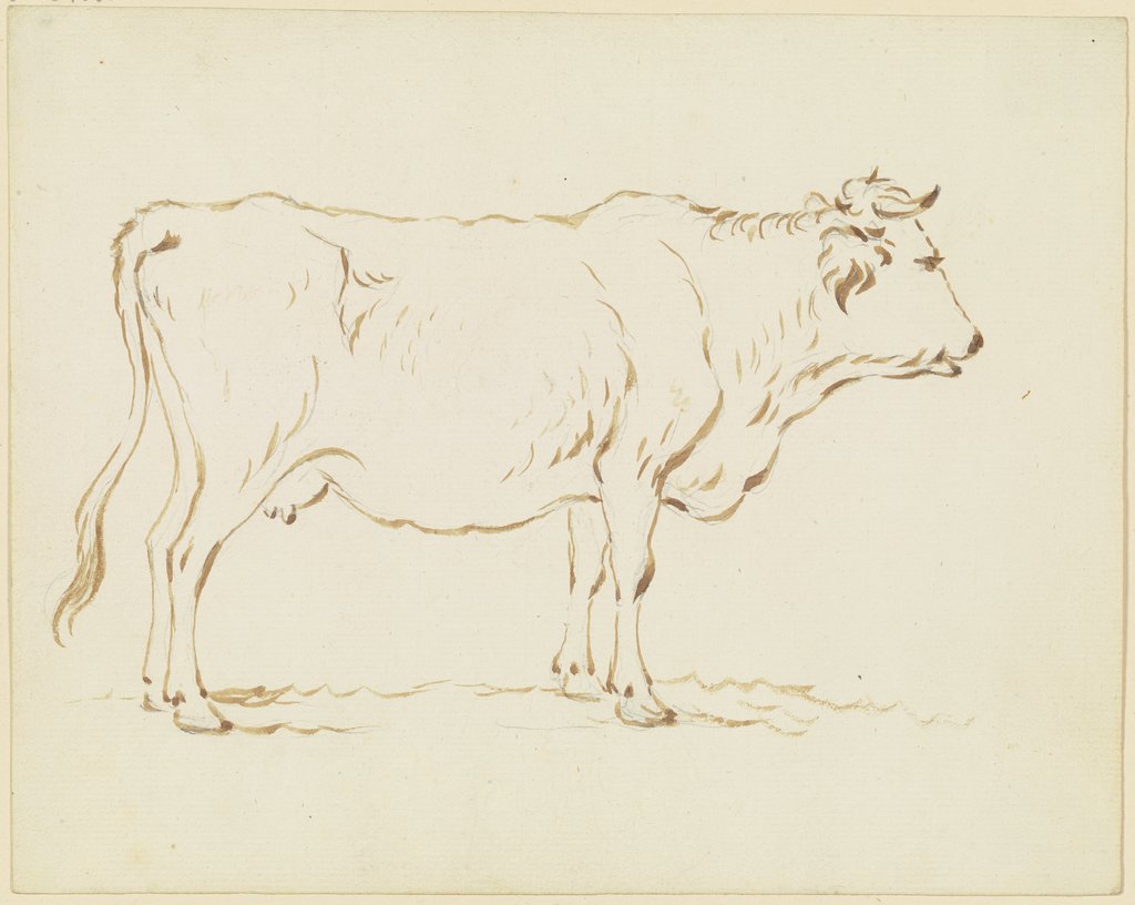 Standing cow to the right, Friedrich Wilhelm Hirt