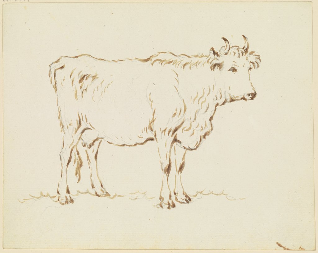 Standing cow to the right, Friedrich Wilhelm Hirt