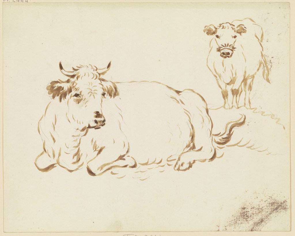Zwei Rinder, das vordere liegend in leichter Verkürzung nach links, das hintere stehend en face, Friedrich Wilhelm Hirt