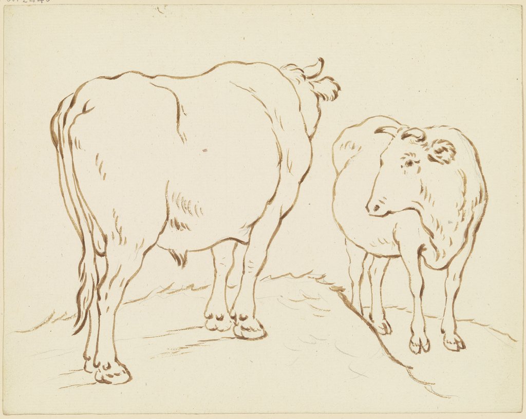 Begegnung zweier Rinder, der etwas erhöht stehende Ochse links in Verkürzung rückansichtig, das rechte Rind diesem in starker Verkürzung zugewandt, Friedrich Wilhelm Hirt