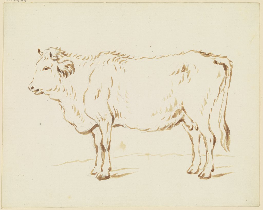 Stehende Kuh nach links, Friedrich Wilhelm Hirt