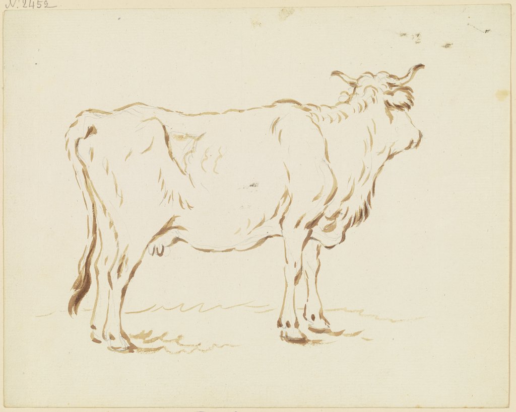Stehende Kuh im verlorenen Profil nach rechts, Friedrich Wilhelm Hirt