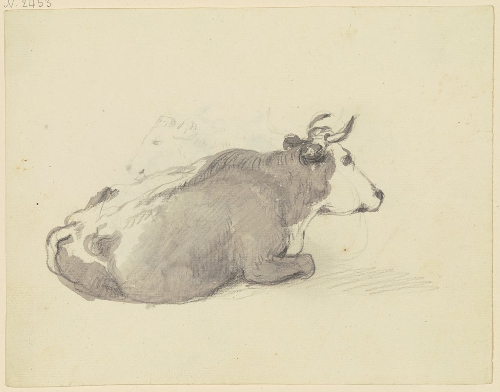 Liegende Kuh nach rechts, Friedrich Wilhelm Hirt